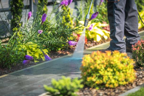 Best Boat and Dock Cleaning  in Berea, OH