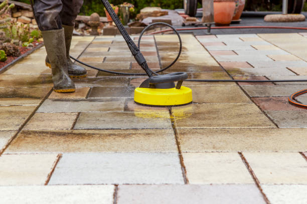 Best Animal Enclosure Cleaning  in Berea, OH